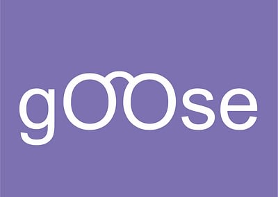 Goose, imagen definida
